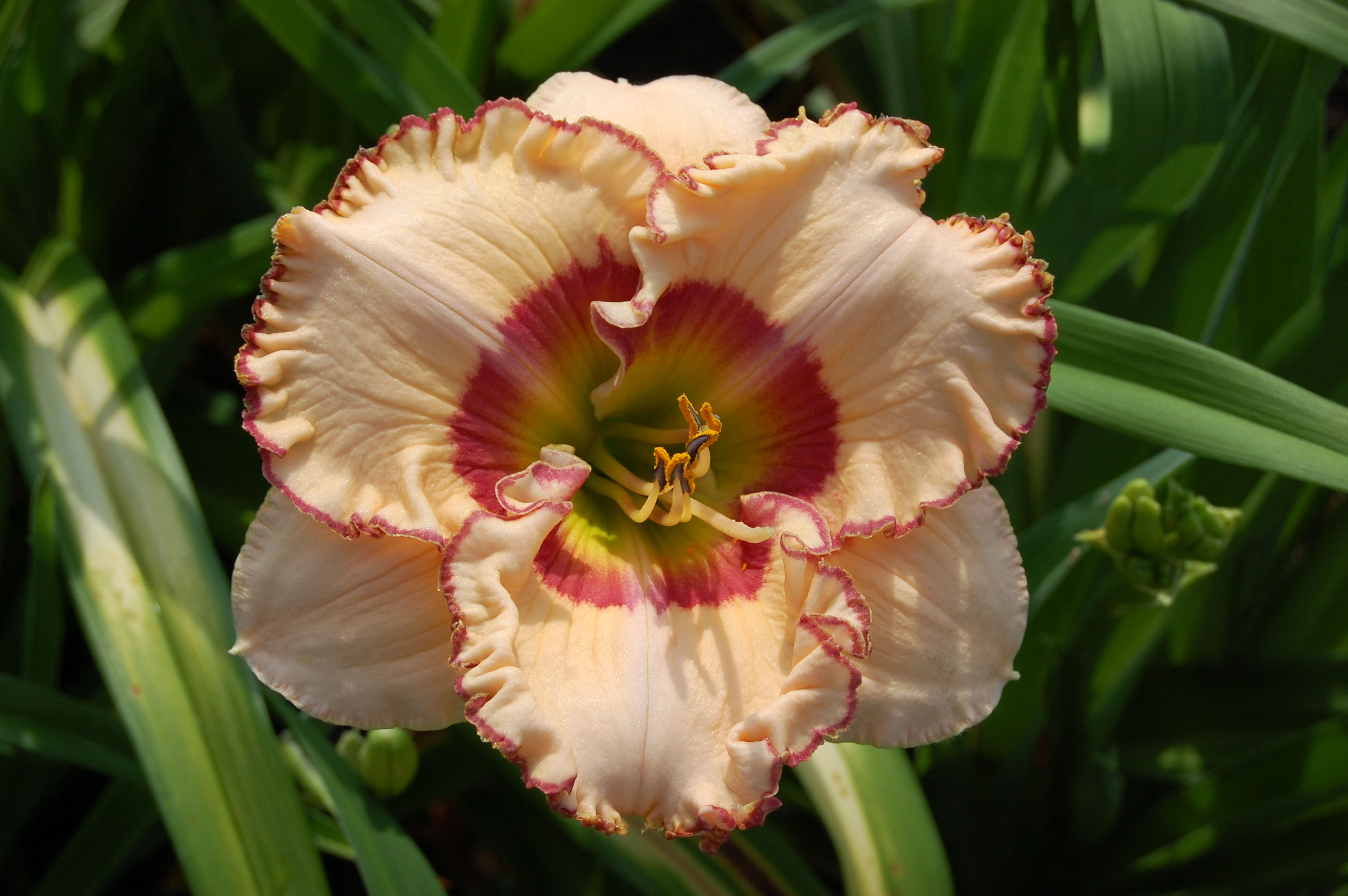 Spacecoast rio verde