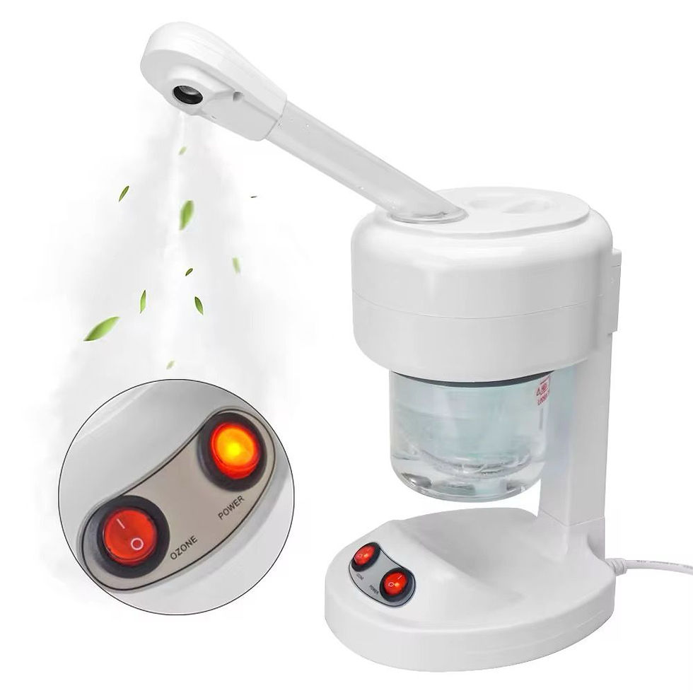 Face Steamer