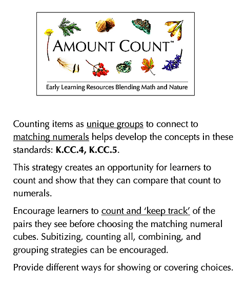 Numerals & Pairs CtS.png
