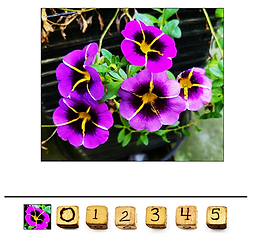 Screenshot 2026-07-31 at 8.45.27 AM.png