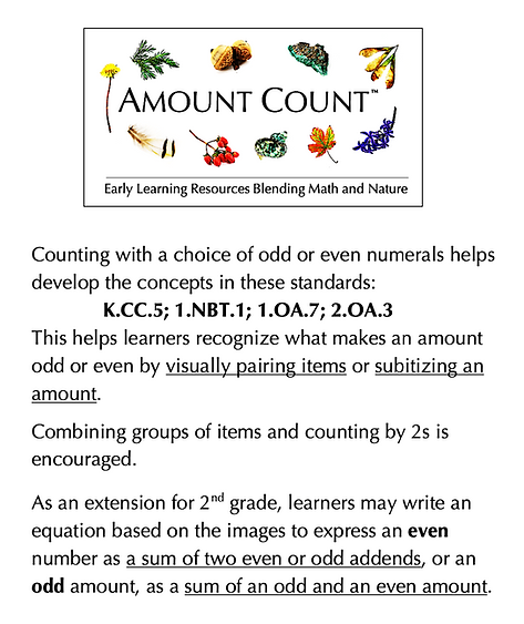 Odd or Even CtS.png