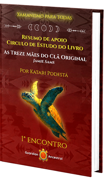 ebook_resumo_13_luas_edited.png