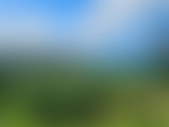 Vanuatu - Dschungel, Farben und viel Lebensfreude