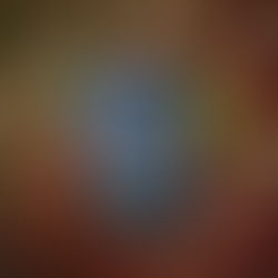 In the Land of the Lovers : A Punjab Qissa