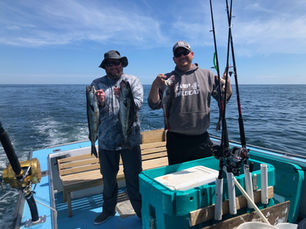 Who let the dogs out?