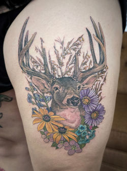 Realistic_Deer_Color