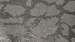 Black Snake
