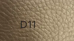 D11