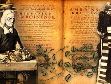 Pengobatan Nusantara