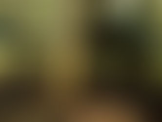 Situs Astana Gede Kawali, Ciamis (Yudi Datau/disparbud.jabarprov.go.id)