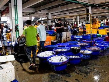 Aktivitas di Pasar Ikan, Jakarta. (Fernando Randy/Historia.id).
