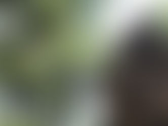 Candi Cangkuang, salah satu warisan era Galuh (Wikimedia Commons)