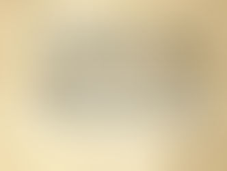 Dokumen saham tertua VOC. Foto: Joss Wibisono.