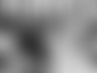 Suasana Konferensi Malino tahun 1946 (Wikimedia Commons)