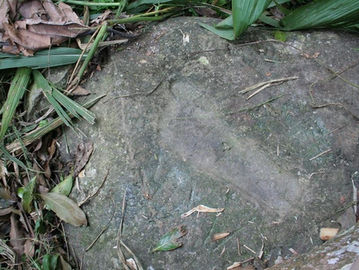 Batu Sanghyang Tapak di Gunung Mananggel Cianjur. Foto: Hendi Jo/Historia.