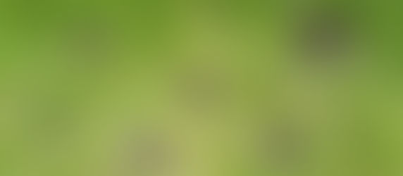 Unprecedented rains and flooding in Sudan puts millions at risk of vector-borne diseases