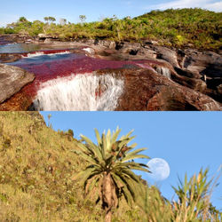 Amazonas
