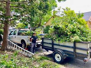Tree Limps Loaded and Ready to Haul Offsite, Portland, OR