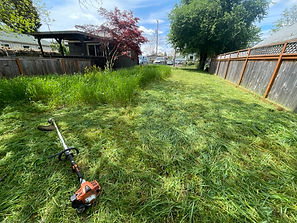 Weed/Brush Clearing, Portland, OR