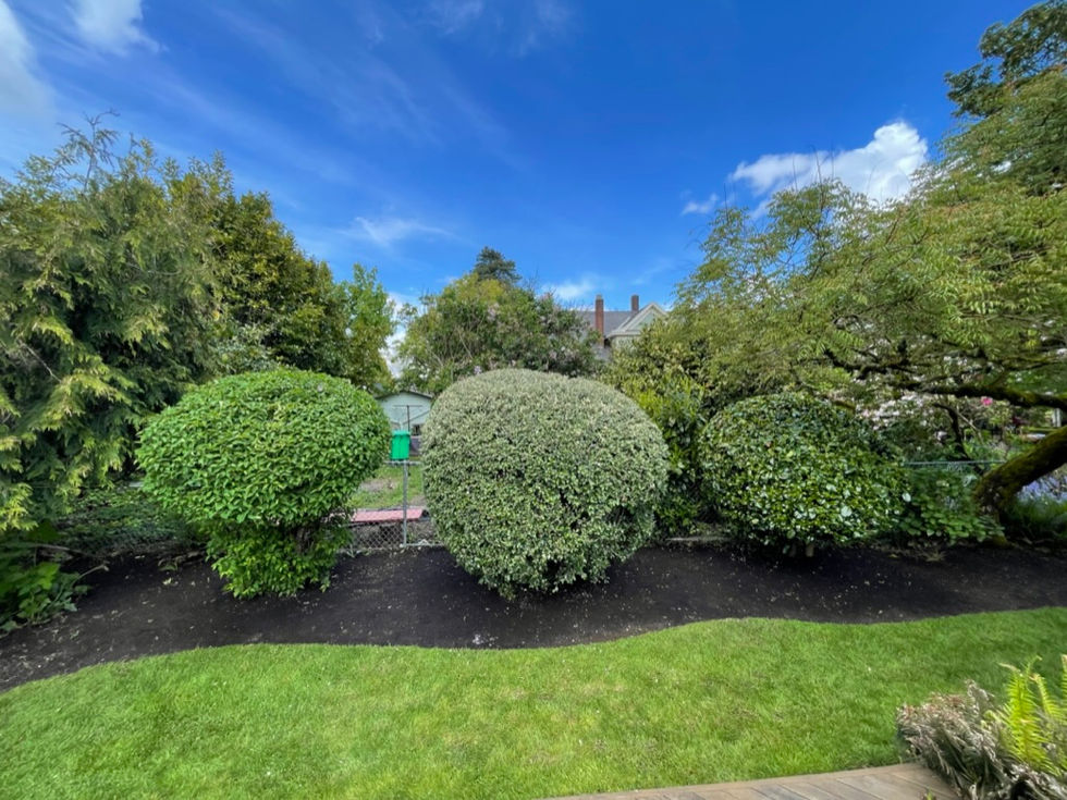 Shrub Pruning - Sellwood-Moreland Neighborhood