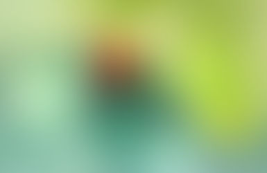 Resolution on Lyme Disease