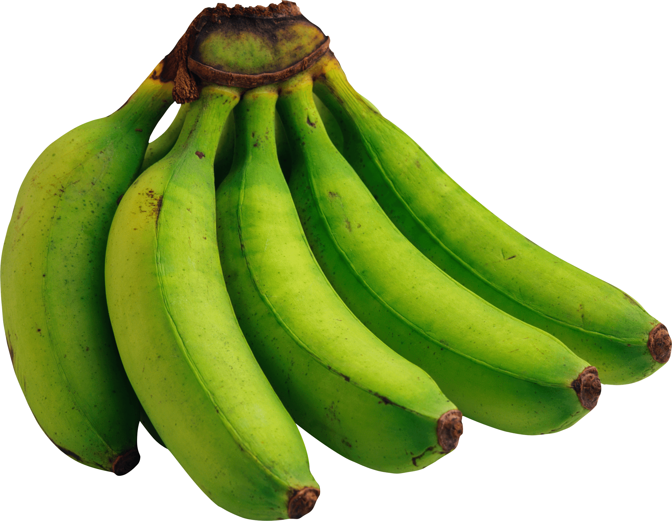 Guineos Verdes