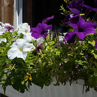 20170718_135025.jpg