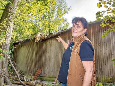 Baum durchschlägt Reithalle in Neeken: Hallenboden muss nach Unwetter ausgetauscht werden
