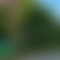 Stallhilfe auf Minijob-Basis gesucht