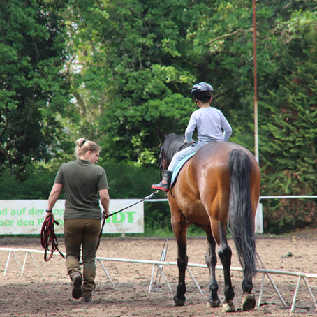 Bambini-Reiten