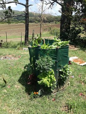 Veg tower garden.jpg