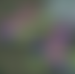 Ubunye's vision for 2026-2030!