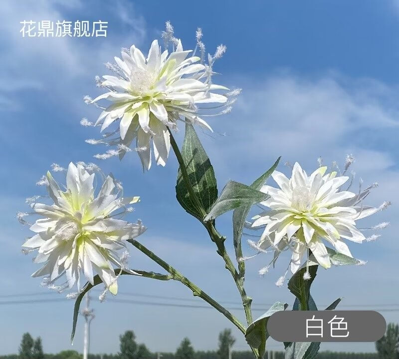 Miniatura: Crisantemo de ocho garras artificial