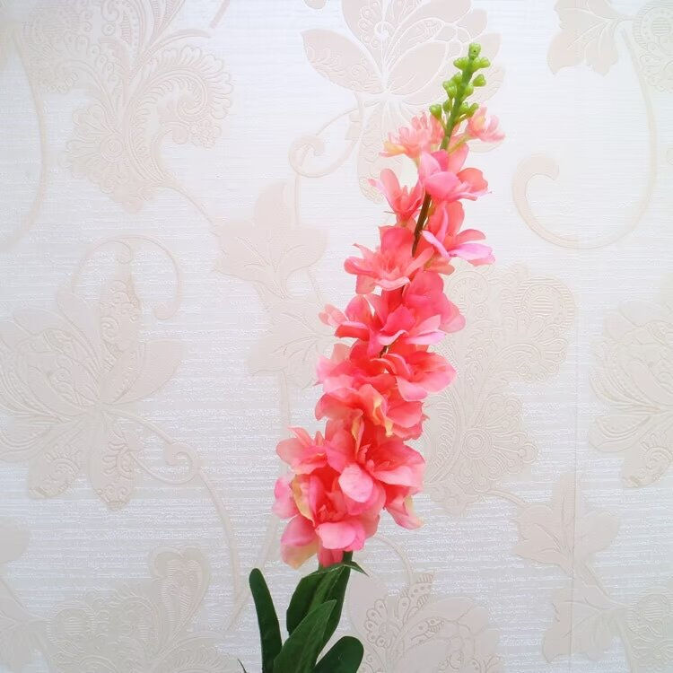 Miniatura: Espuela de caballero artificial