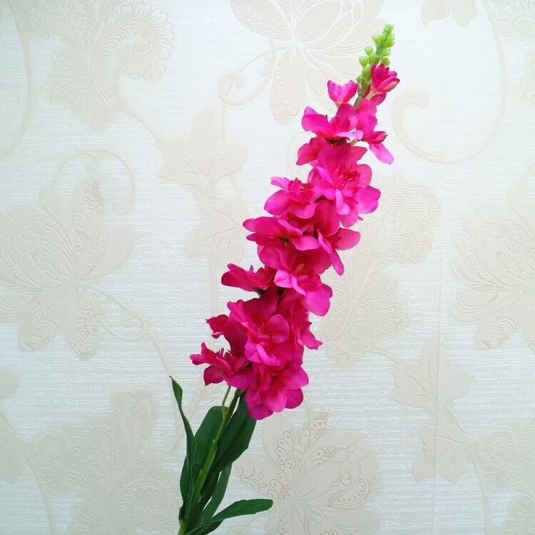 Miniatura: Espuela de caballero artificial