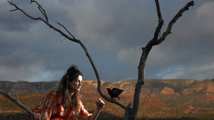 Crows Can Count? Count On It!