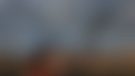 Crows Can Count? Count On It!