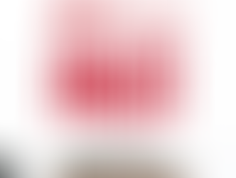 THE PLAN AWARD 2025 - FINALIST 