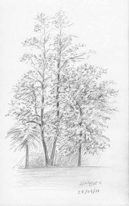 arbres_grd_blottereau_3_vh.jpg
