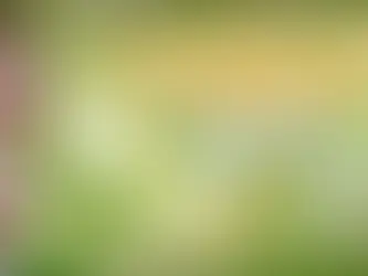 Evento - Caça ao Tesouro