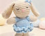 Blue Flopsy Ballerina