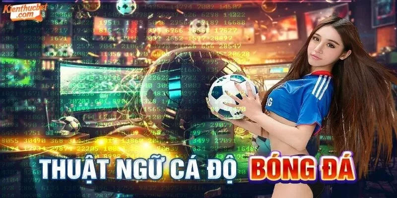 Thuật ngữ cá độ bóng đá