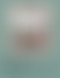 Brad Kolodny: Speaking on his book :"Seeking Sanctuary" Sunday, February 8, 2026 at 2:00 PM