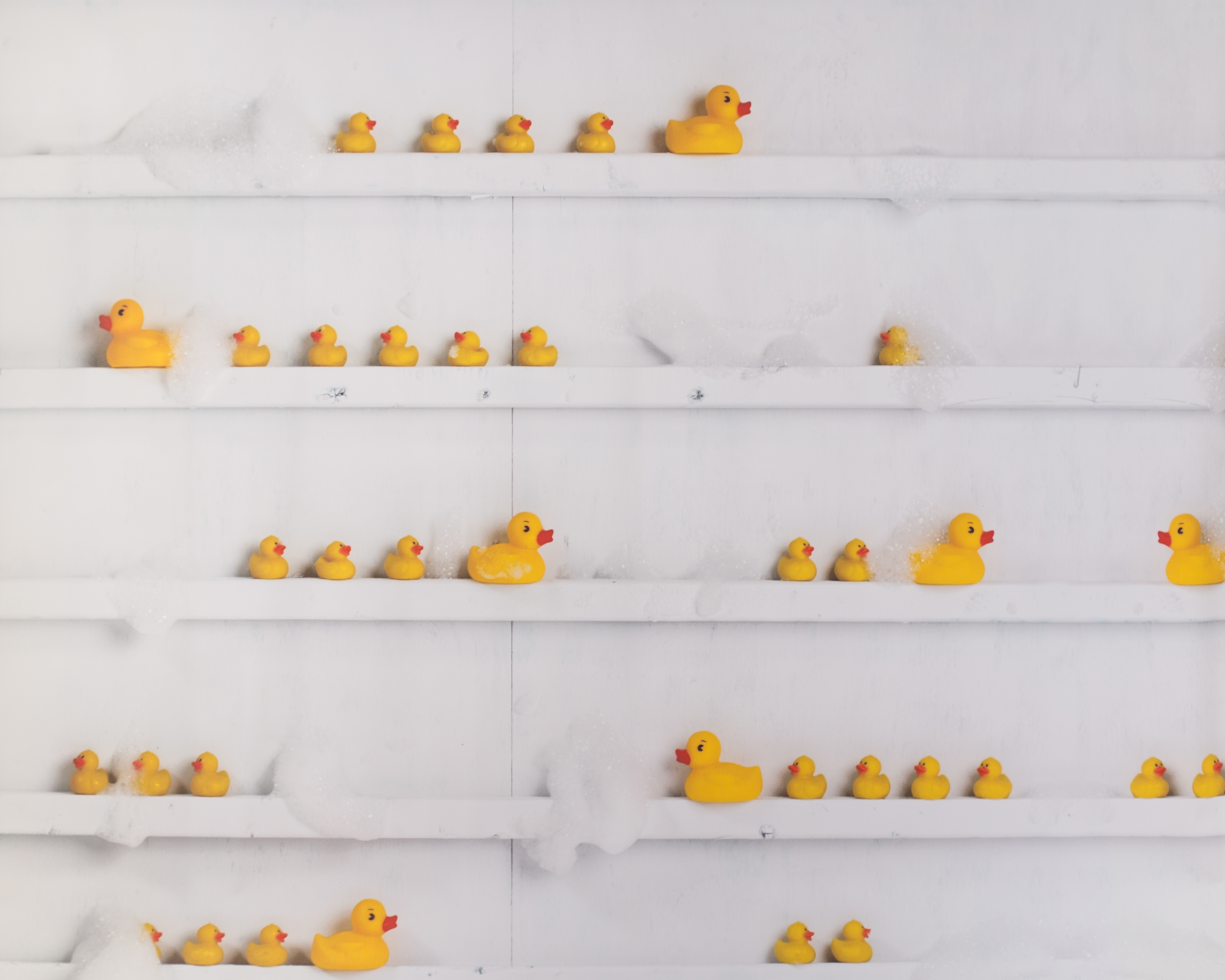 F-4 Rubber Ducky Shelves