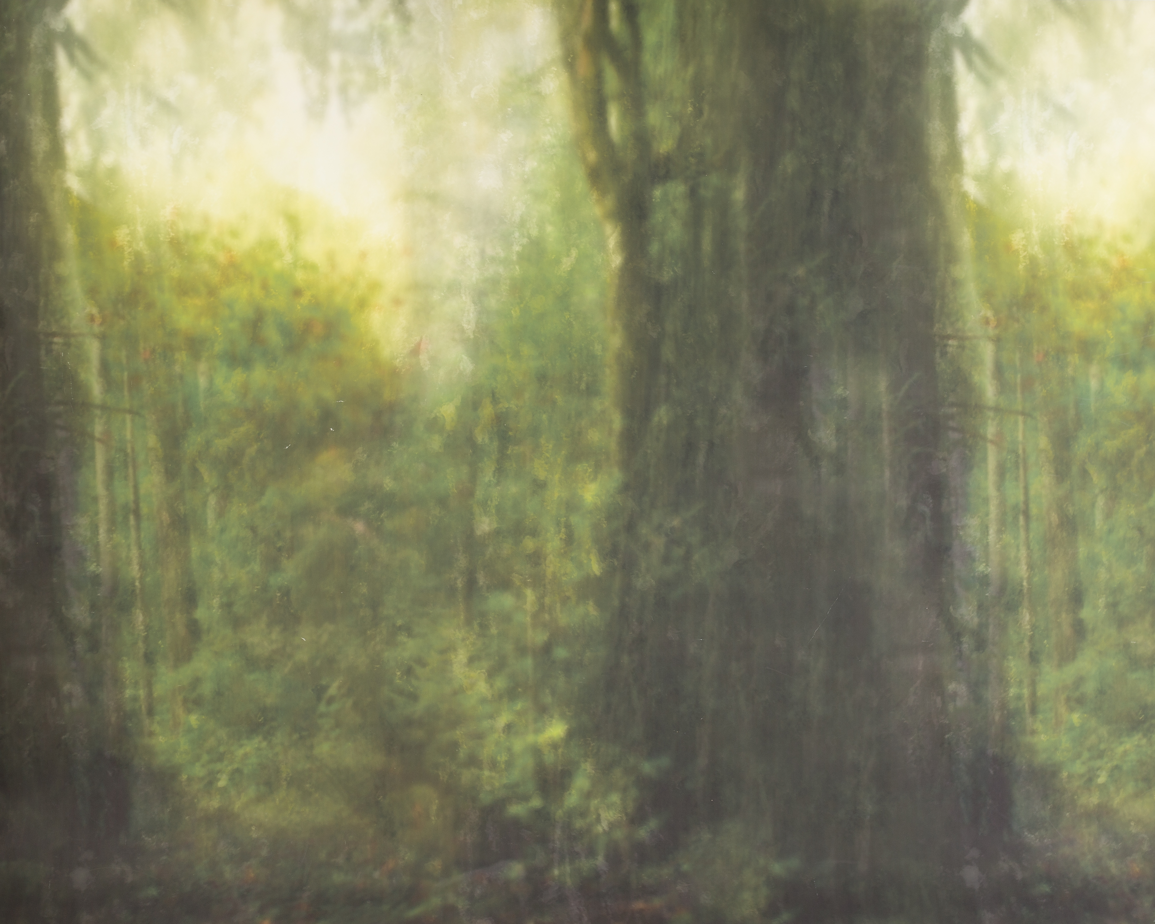 F-26 Enchanted Forest