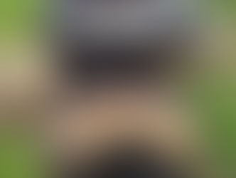 Farrier Review: Glushu for hoof confinement