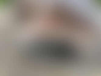 Farrier Report: Show Jumper with de-lamination.