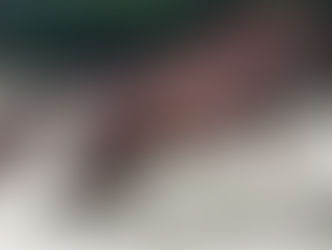 An update from Karin and Zamdoria.