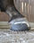 Farrier Report: Glushu for horse with hoof abscess.