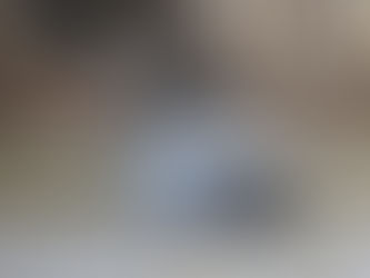 Farrier Report: Glushu for help with hoof abscess